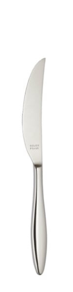 Couteau de table Terra 239 mm - Solex