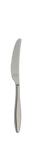 Couteau à dessert Terra Retro 216 mm - Solex