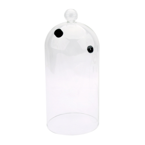 Cloche en verre pour boissons - Sage