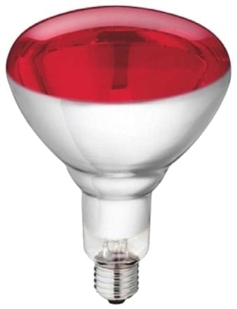 Ampoule Philips IR Rouge 250 W