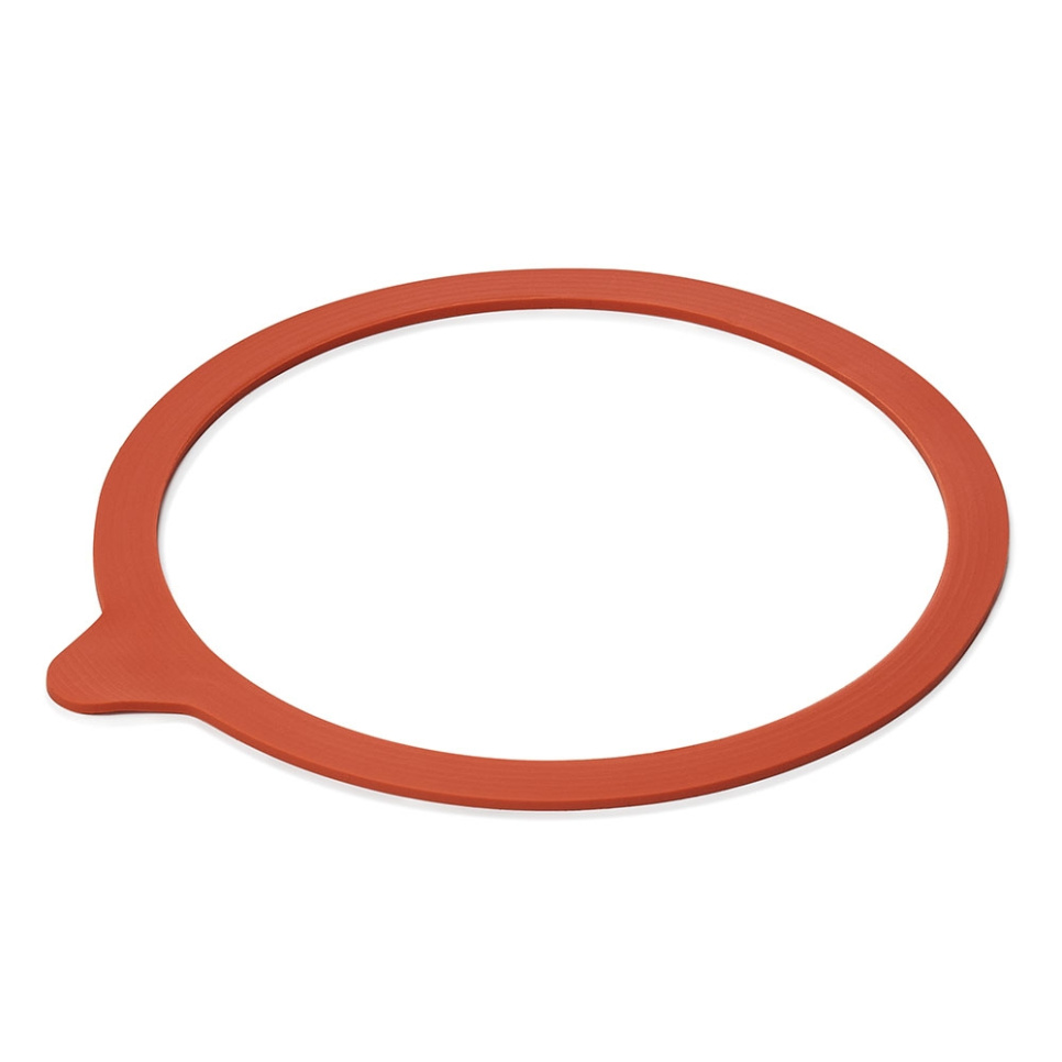 Joint en caoutchouc, paquet de 10 - Weck dans le groupe Cuisine / Ustensiles de cuisine / Bouteilles et bocaux l\'adresse The Kitchen Lab (1069-29307)