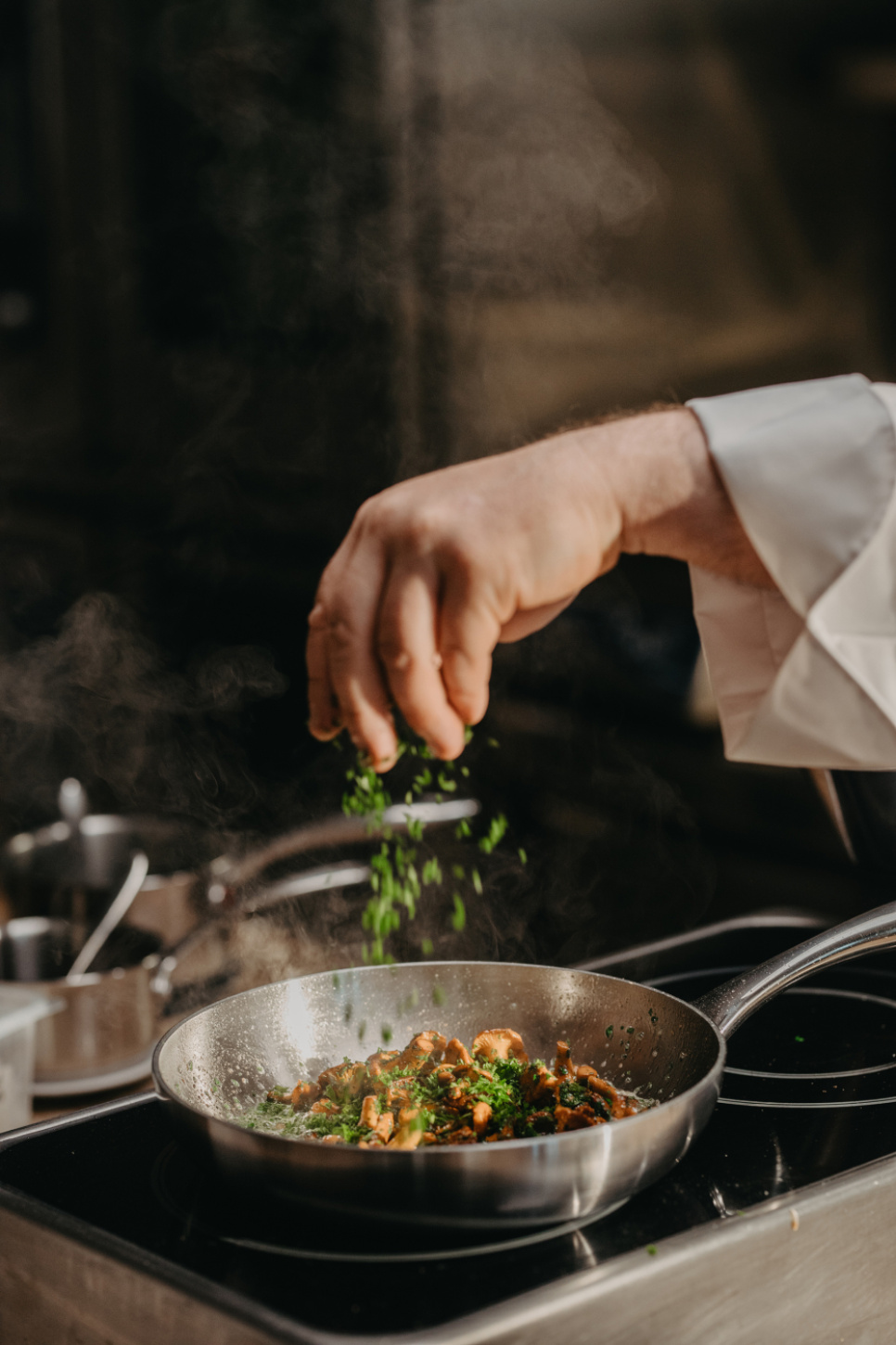 Poêle à frire en acier inoxydable, Mathias Dahlgren - Culimat - 28 cm + 20 cm