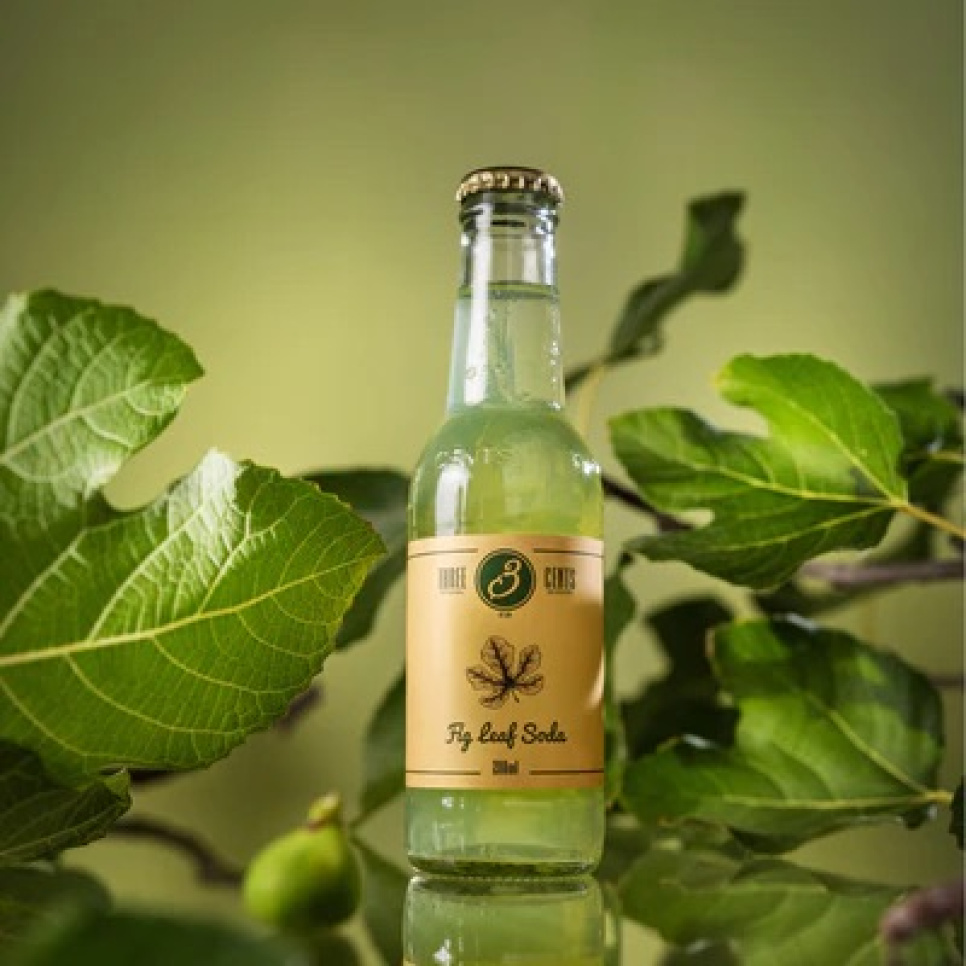 Fig Leaf Soda - Three Cents