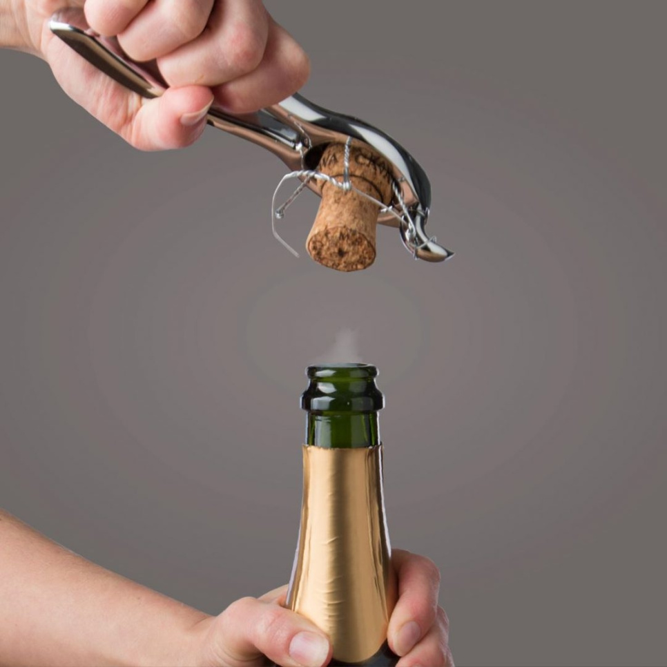 Déboucheur de champagne, modèle algue - Vacuvin