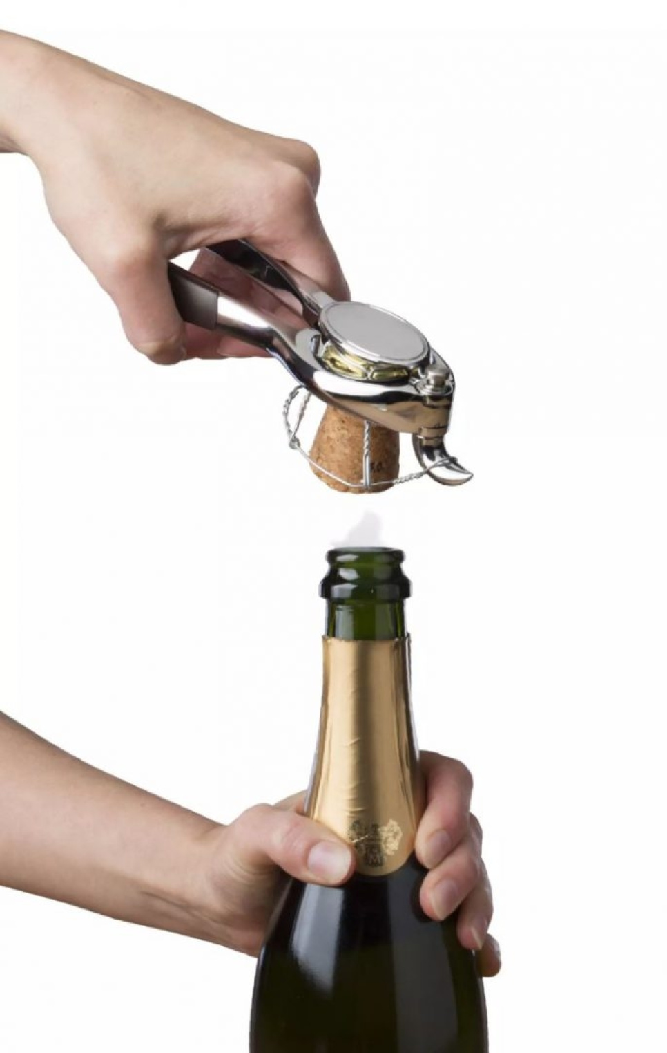 Déboucheur de champagne, modèle algue - Vacuvin