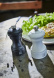 Moulin à poivre, 10 cm, Bistro, Noir Mat - Peugeot