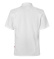 Veste de cuisinier, manches courtes, homme, blanc - Segers