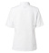 Veste de cuisinier, manches courtes, femme, blanc - Segers