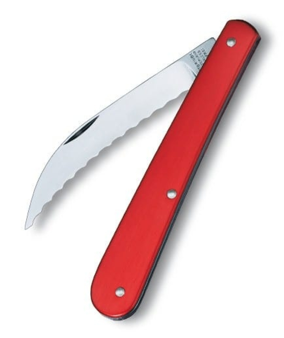 Couteau de boulanger, couteau à pâte, couteau à trancher dans le groupe Pâtisserie / Ustensiles à pâtisserie / Coupe-pâte et couteaux à pâte l\'adresse The Kitchen Lab (1095-11947)