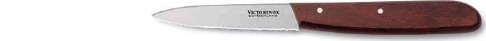 Couteau d\'office 8 cm, dentelé, manche bois dans le groupe Cuisine / Couteaux de cuisine / Couteaux à éplucher l\'adresse The Kitchen Lab (1095-12291)
