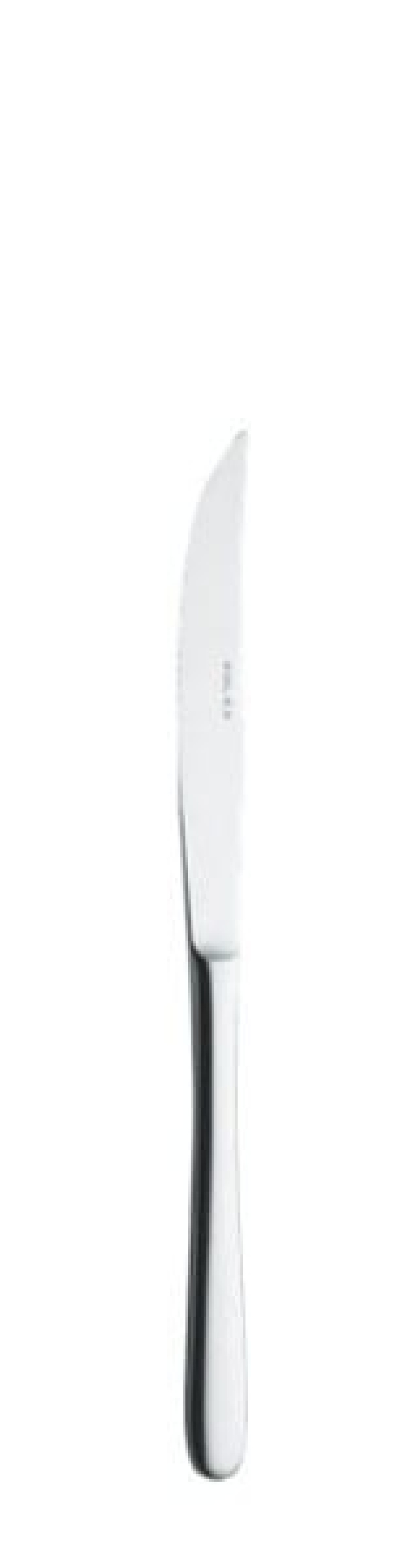 Couteau à steak Anna, 216mm dans le groupe Arts de la table / Couverts / Couteaux l\'adresse The Kitchen Lab (1284-14138)