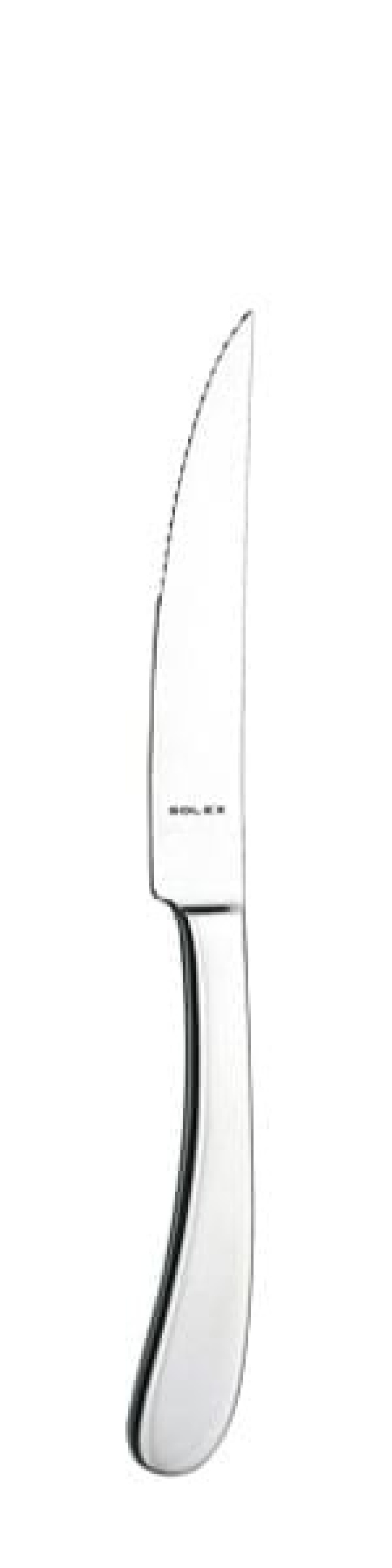 Couteau à barbecue Steakhouse Julia, 240 mm dans le groupe Arts de la table / Couverts / Couteaux l\'adresse The Kitchen Lab (1284-15241)