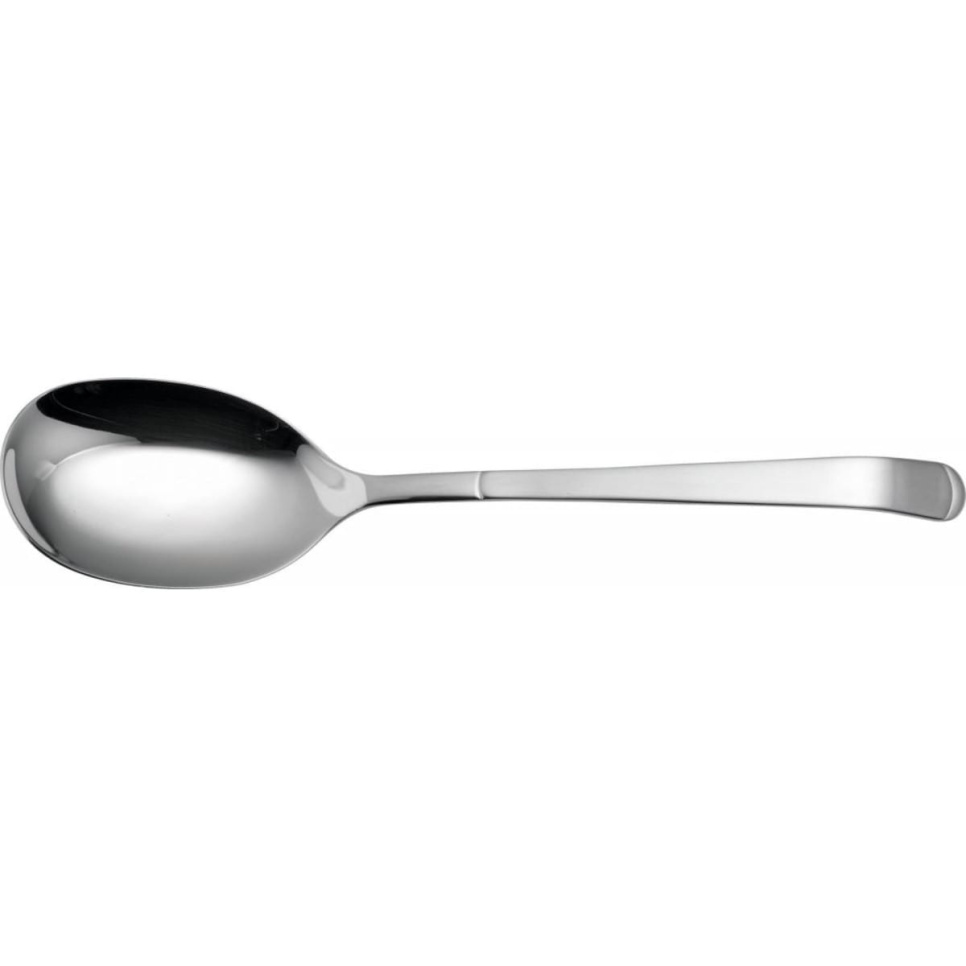 Cuillère de service Function 255 mm - Solex dans le groupe Arts de la table / Couverts / Ustensiles pour servir l\'adresse The Kitchen Lab (1284-19924)