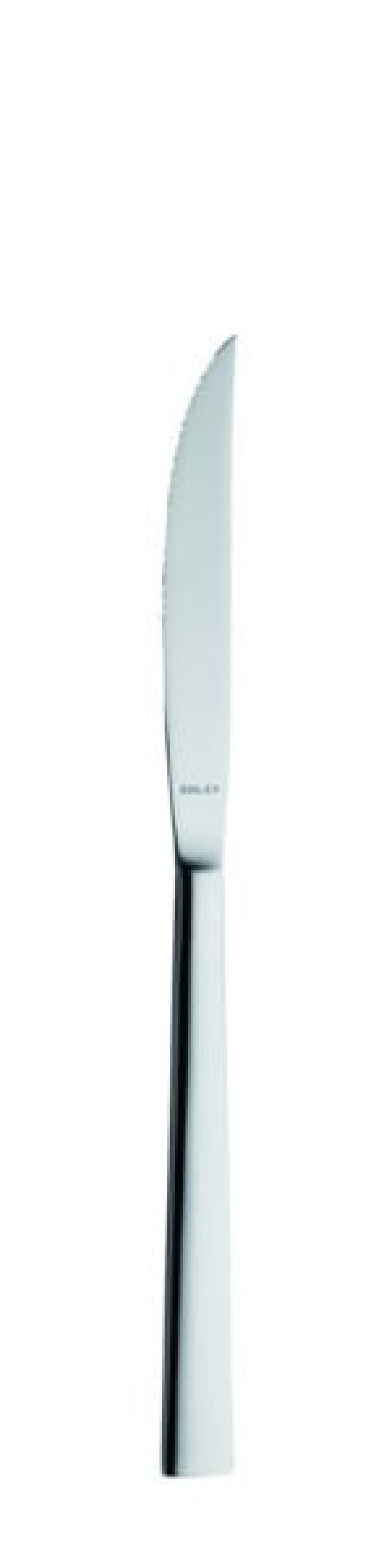 Couteau à steak Helena 233 mm - Solex dans le groupe Arts de la table / Couverts / Couteaux l\'adresse The Kitchen Lab (1284-21569)