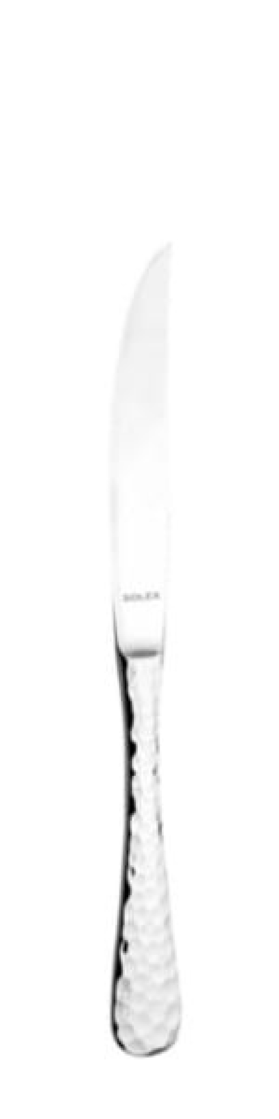 Couteau à steak Léna 235 mm - Solex dans le groupe Arts de la table / Couverts / Couteaux l\'adresse The Kitchen Lab (1284-21621)