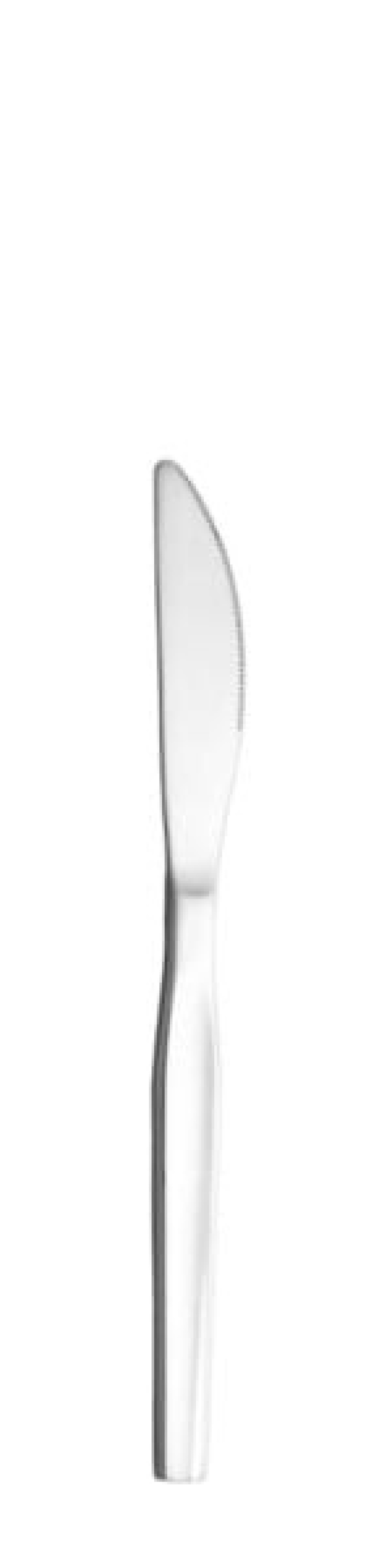 Couteau de table Skai 208 mm - Solex dans le groupe Arts de la table / Couverts / Couteaux l\'adresse The Kitchen Lab (1284-21627)
