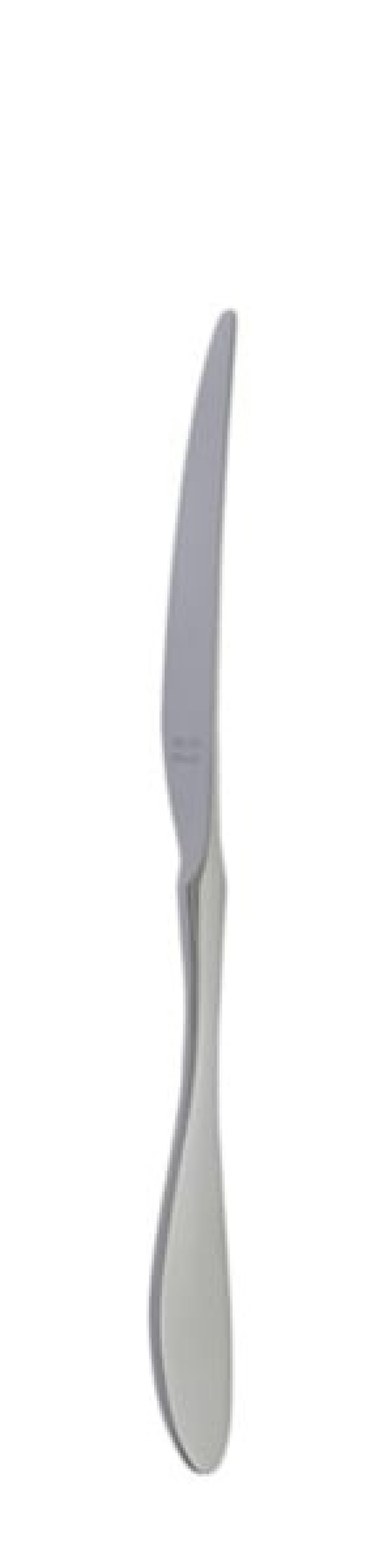 Couteau de table Terra Retro 239 mm - Solex dans le groupe Arts de la table / Couverts / Couteaux l\'adresse The Kitchen Lab (1284-21659)