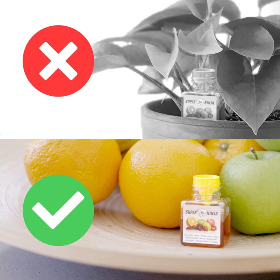 Piège à mouches à fruits - Super Ninja