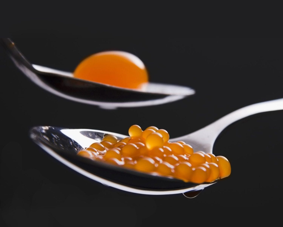 Cours de gastronomie moléculaire (Stockholm) dans le groupe l\'adresse The Kitchen Lab (1317-17983)