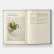A Work in Progress: A Journal - Rene Redzepi