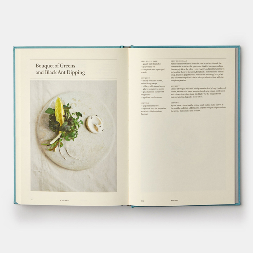 A Work in Progress: A Journal - Rene Redzepi