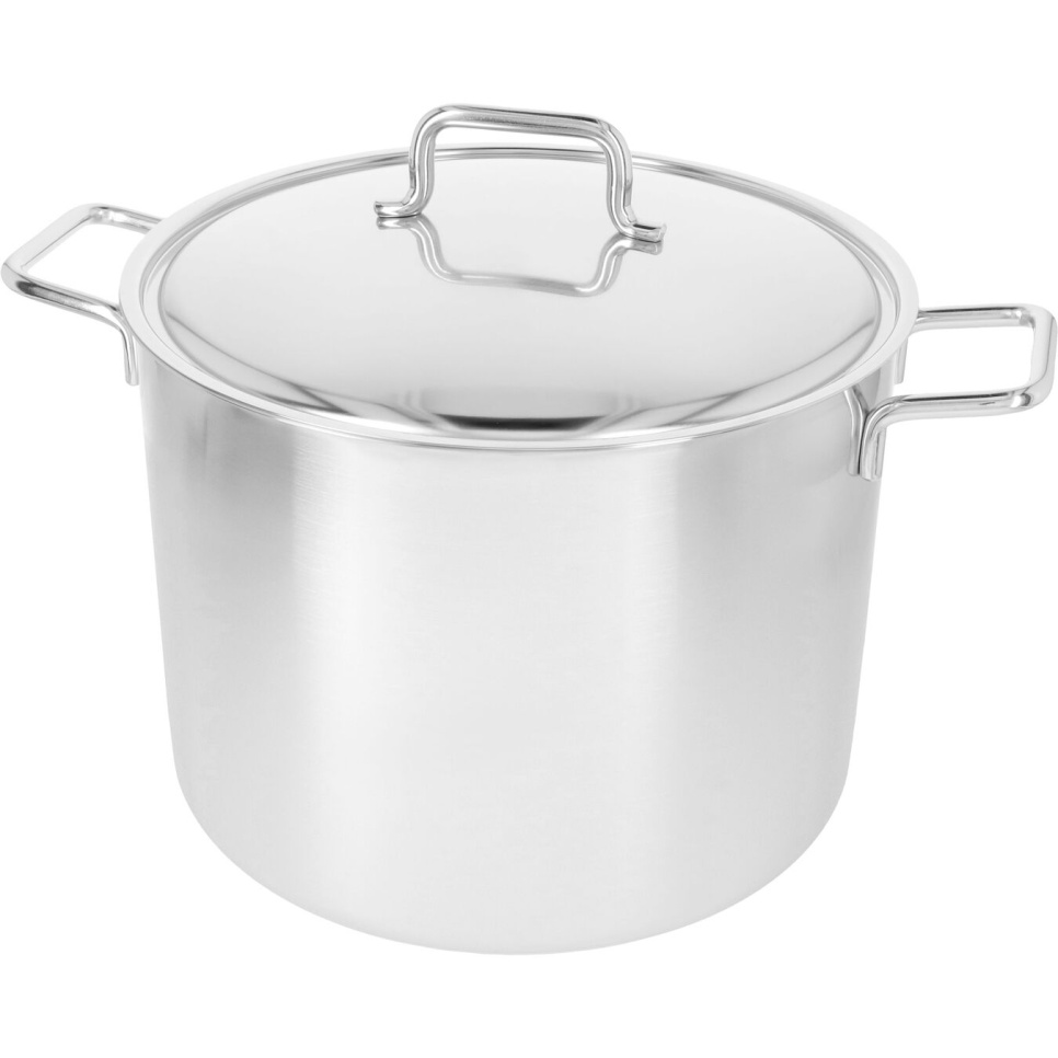 Ragagement élevé avec couvercle de 30 cm, Apollo - Demeyere