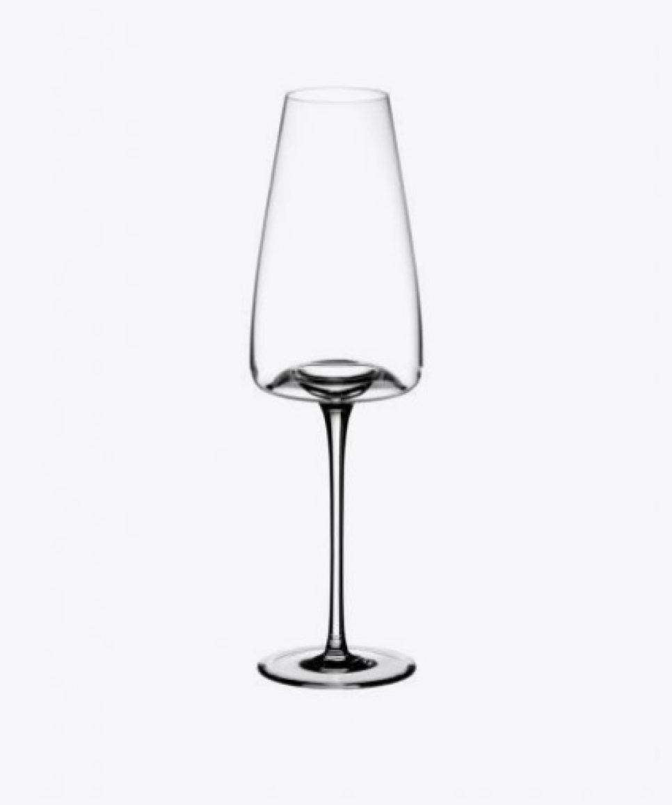 Verres à vin, Vision Rich, pack de 2 - Zieher dans le groupe Cocktails et Vin / Verre à vin / Verre à vin pour le dessert l\'adresse The Kitchen Lab (1422-25165)
