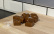 Kit de friandises de Noël, gastronomie moléculaire - The Kitchen Lab