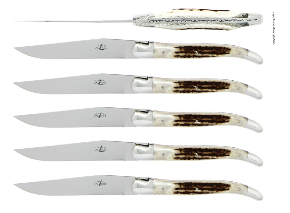 Six couteaux, manche en bois de cerf, poli, Tradition - Forge de Laguiole dans le groupe Arts de la table / Couverts / Couteaux l\'adresse The Kitchen Lab (1446-32911)