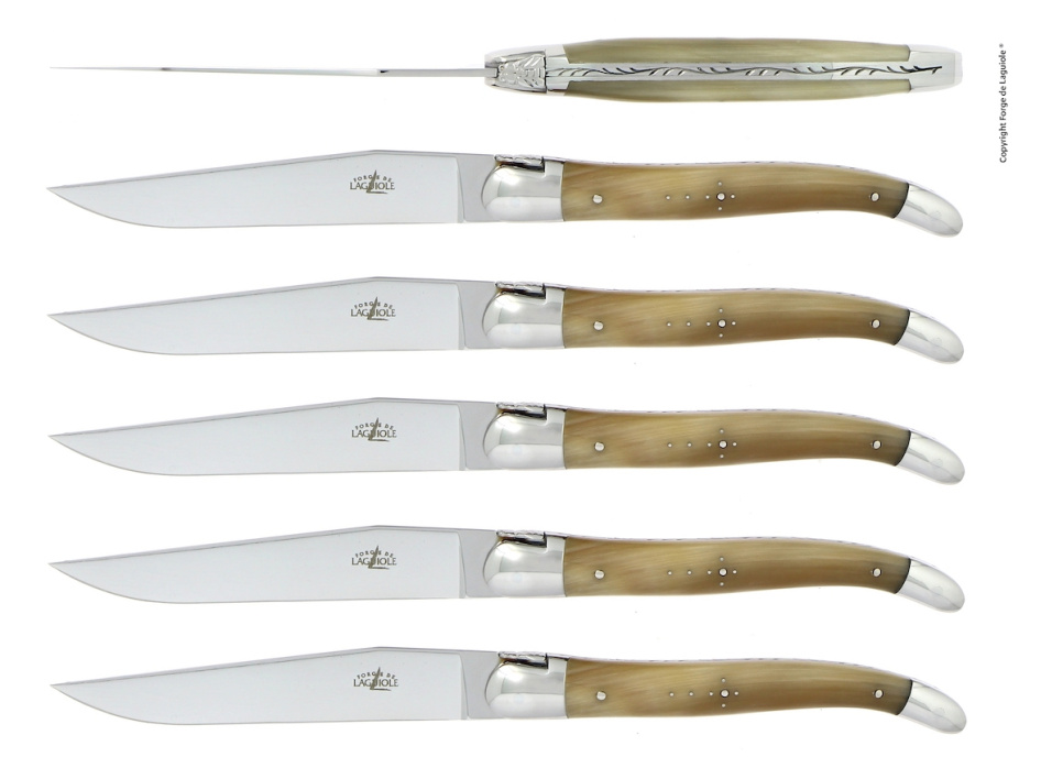 Six couteaux, manche en corne claire, poli, Tradition - Forge de Laguiole dans le groupe Arts de la table / Couverts / Couteaux l\'adresse The Kitchen Lab (1446-32913)