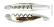 Couteau sommelier en bois de cerf, poli, Tradition - Forge de Laguiole