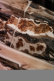 Couteau de sommelier en bois de Vignes, damasquiné avec décoration, Collection - Forge de Laguiole