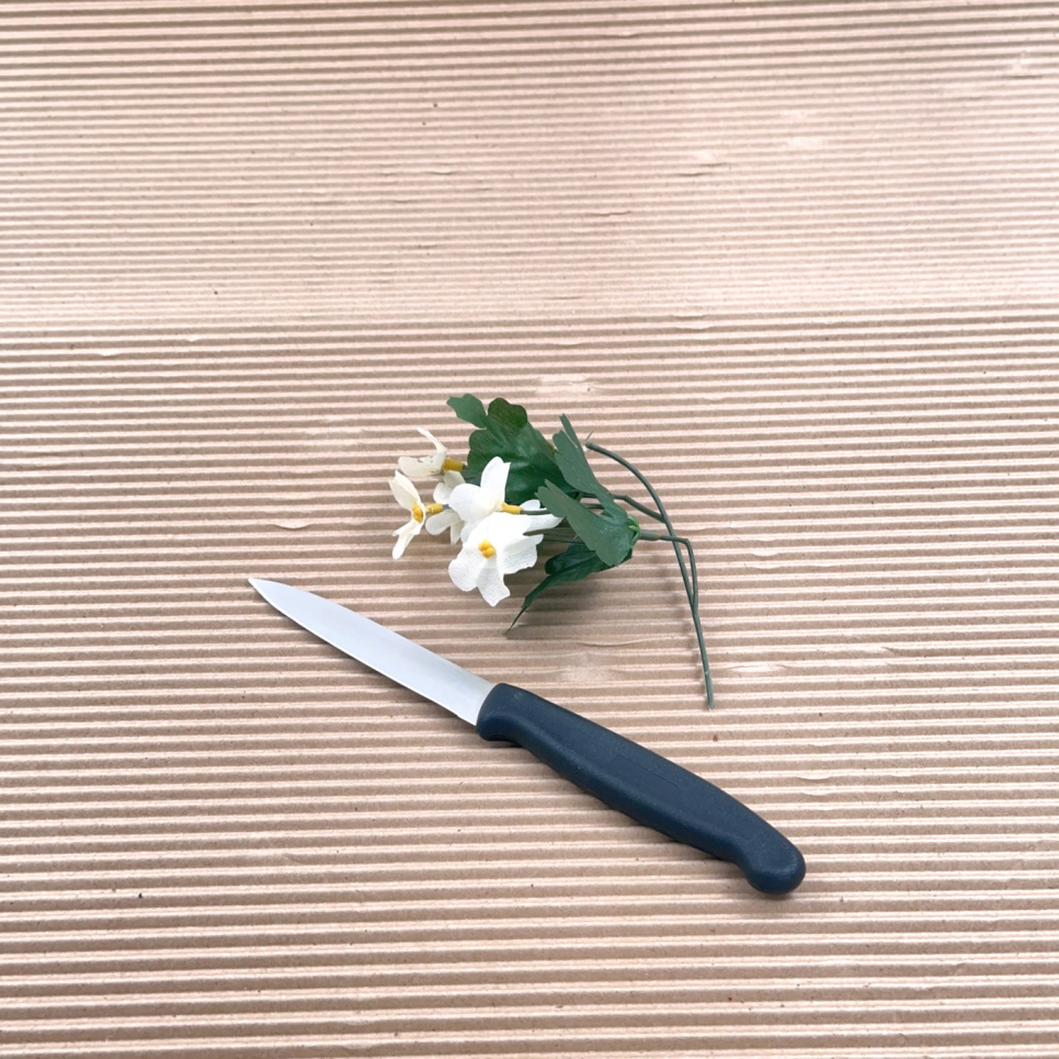 Le petit couteau d\'office classique avec manche en plastique noir, 10cm - The Kitchen Lab