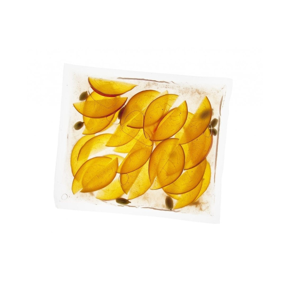 Sac sous vide pour aspirateur chambre, bouilli, 30x40cm, pack de 200 dans le groupe Cuisine / La cuisson sous vide / Sacs à fermeture et aspirants l\'adresse The Kitchen Lab (1512-13794)