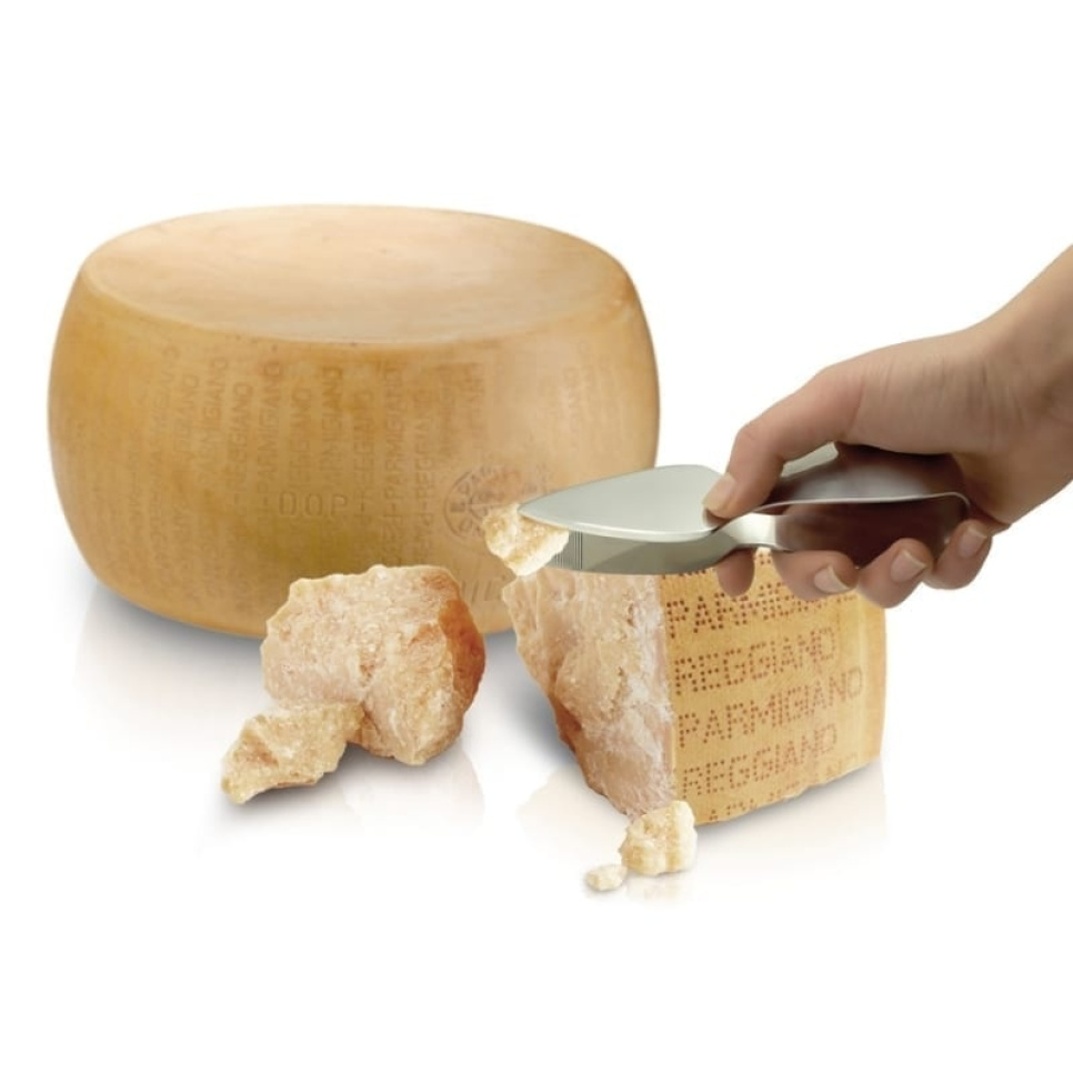 Couteau/Pince à parmesan - I GENIETTI