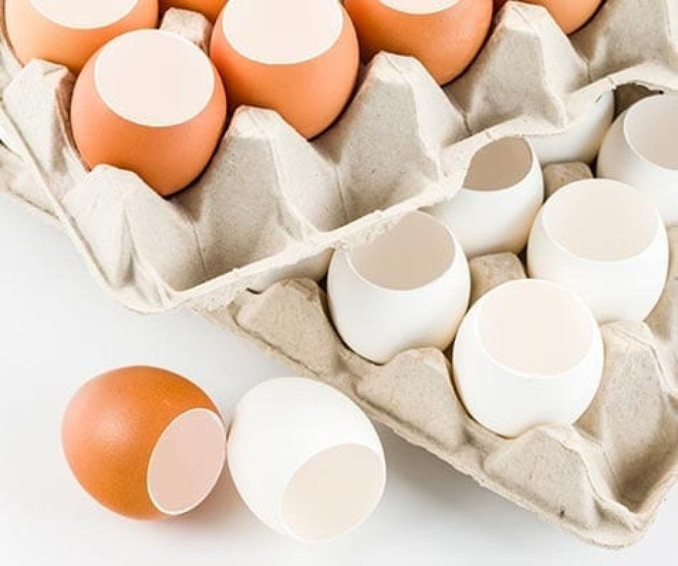 Top cutter pour œufs de poule - 100% Chef