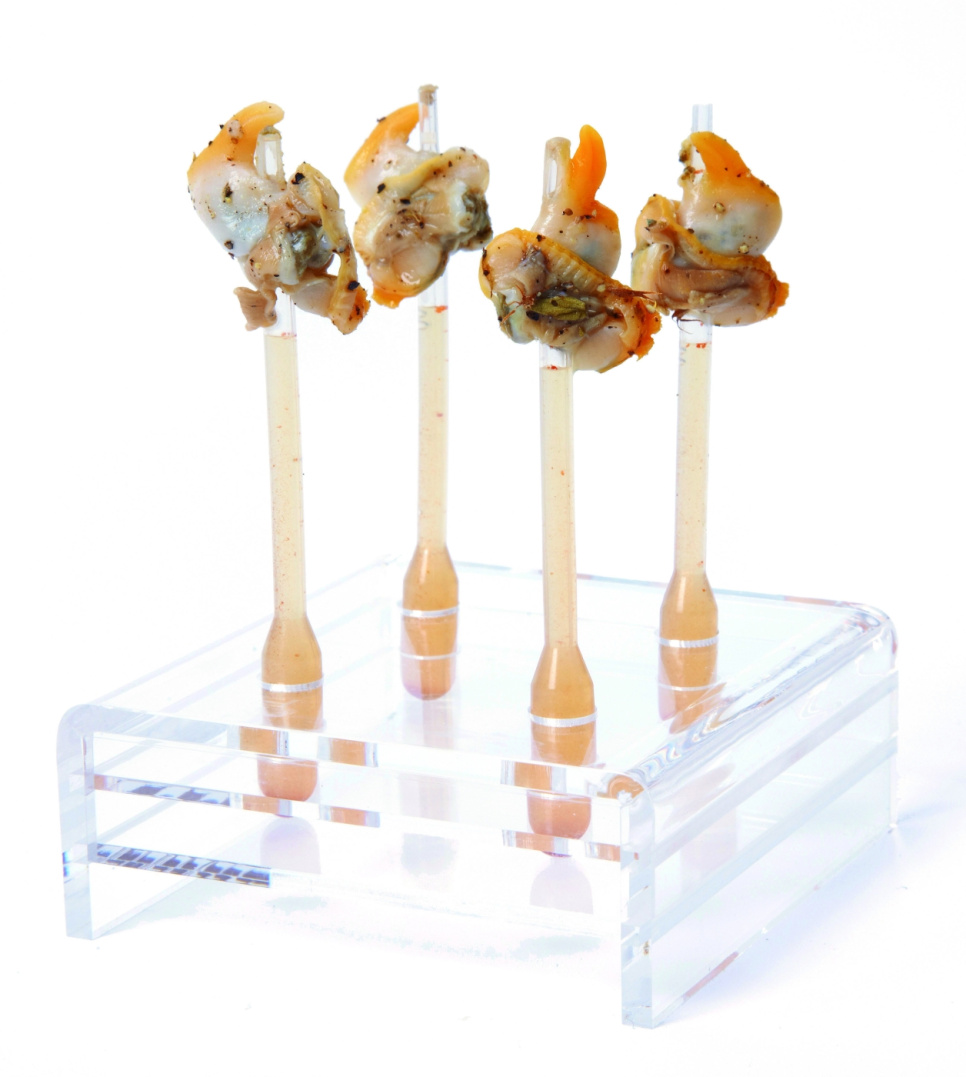 Pipette, conique, pack de 500 - 100% Chef