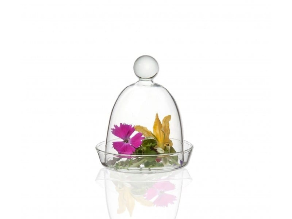 Mini cloche avec plat associé - 100% Chef