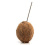 Paille - Paille Inox - 100% Chef
