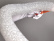Spatule de rechange pour VOM, pack de 3 - 100% Chef
