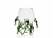 Bol en verre, tasse d\'algas - 