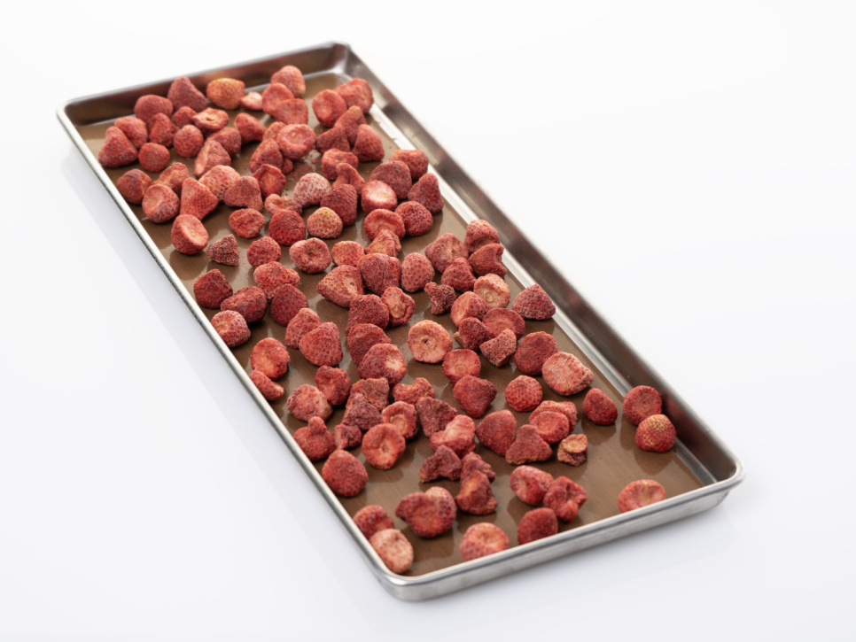 Feuilles antiadhésives pour Lyo Chef L, paquet de 6 - Harvest Right