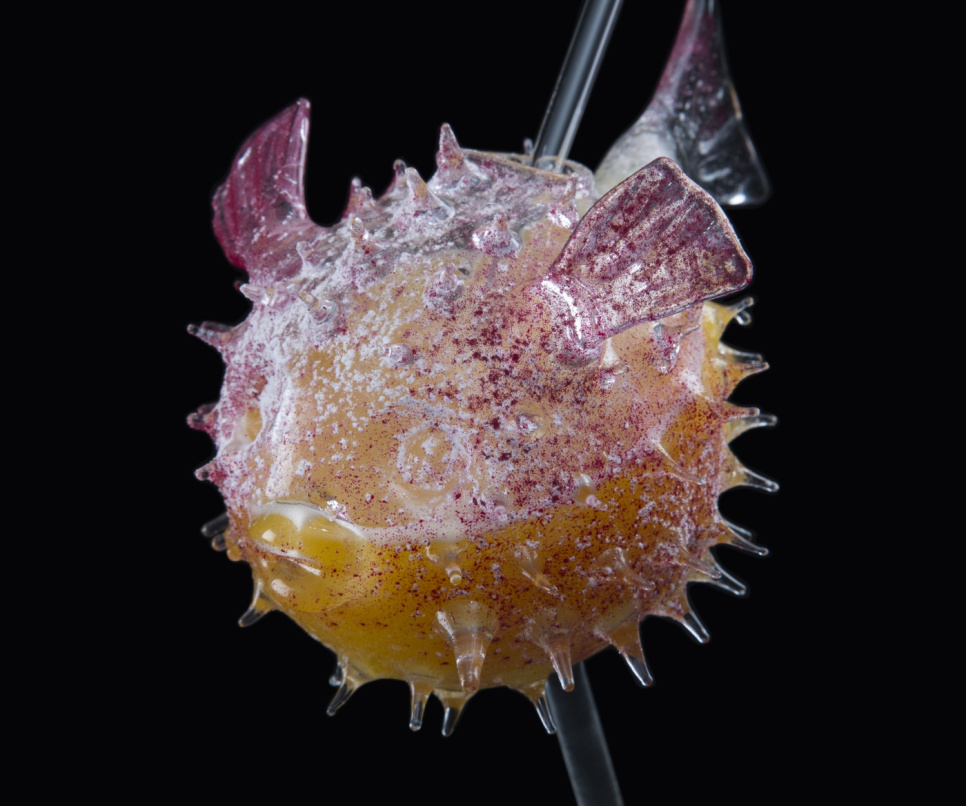 Verre à cocktail, Fugu - 100% Chef