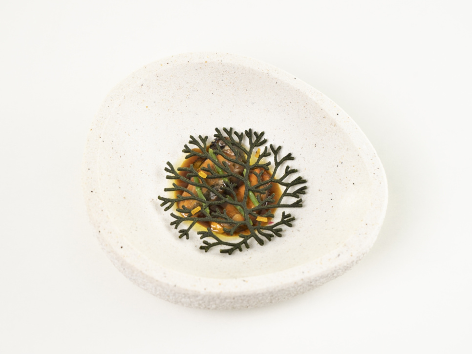 Moule en silicone pour Tuille, Alg - 100% Chef