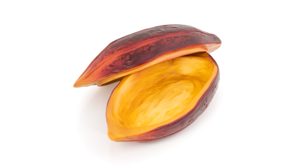 Plat de service, Fève de cacao, 26 x 12 cm - 100% Chef dans le groupe Arts de la table / Assiettes, Bols et Plats / De la graisse l\'adresse The Kitchen Lab (1532-31113)