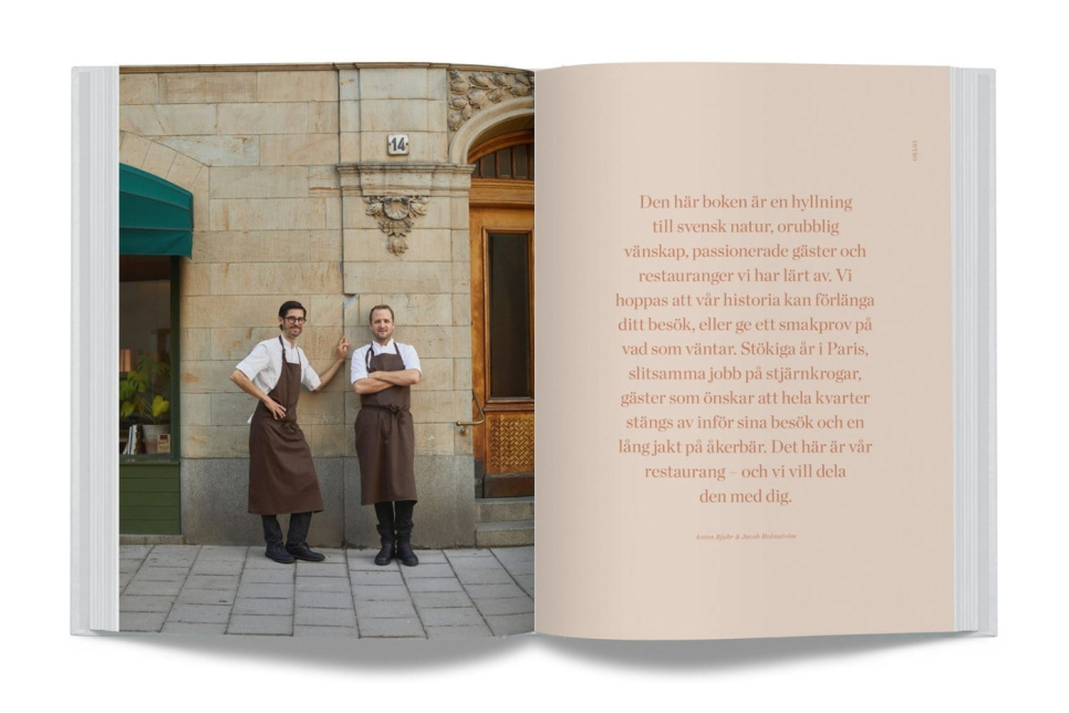 The Year in Gastrology de Jacob Holmström and Anton Bjuhr
