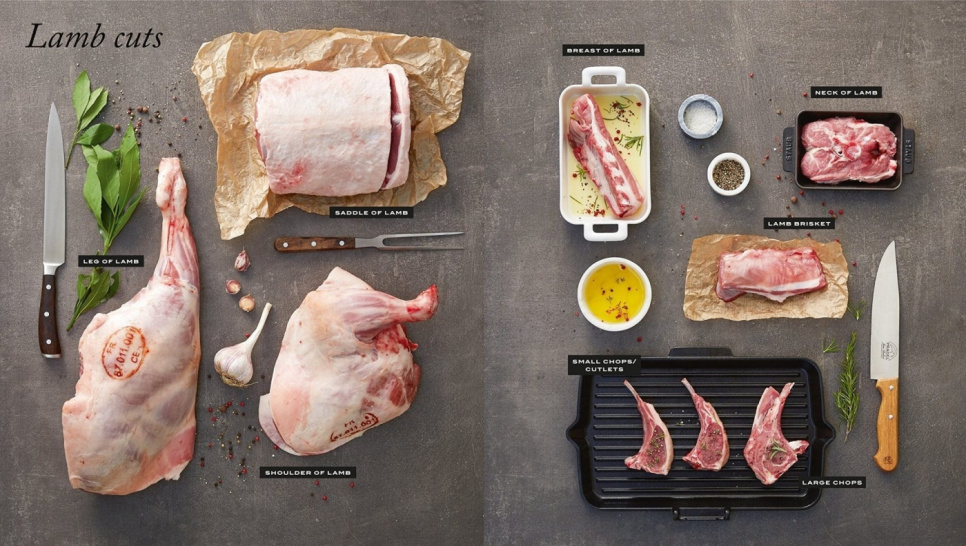 Institut Paul Bocuse Gastronomique