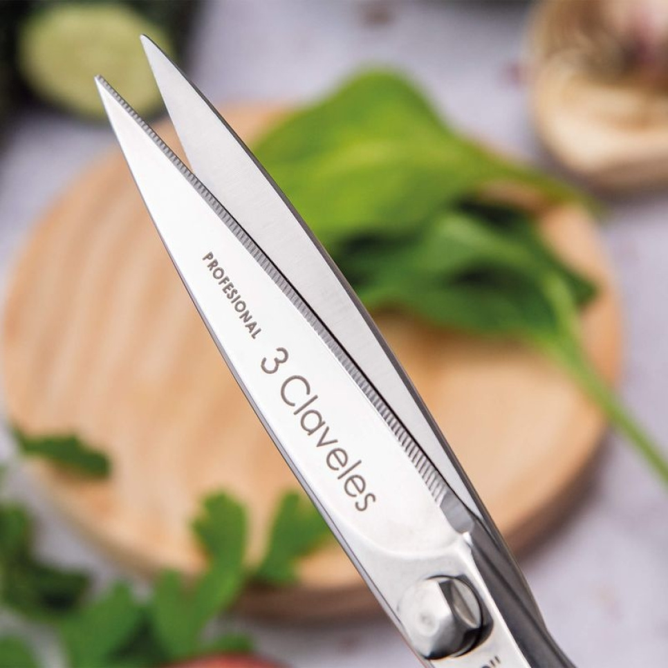 Ciseaux de cuisine 20 cm, Class - 3 Claveles