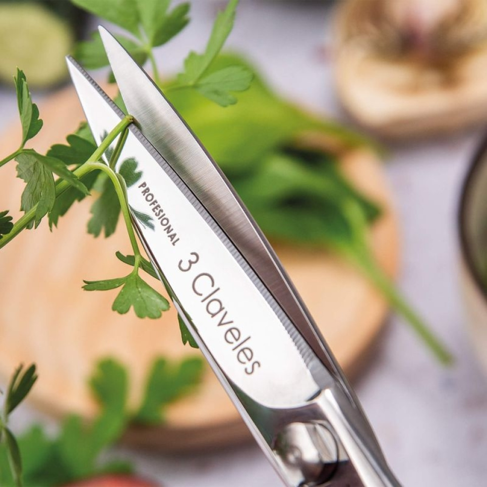 Ciseaux de cuisine 20 cm, Class - 3 Claveles