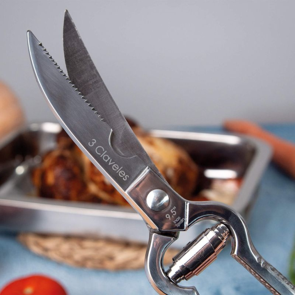 Ciseaux à volaille professionnels avec ressort - 3 Claveles